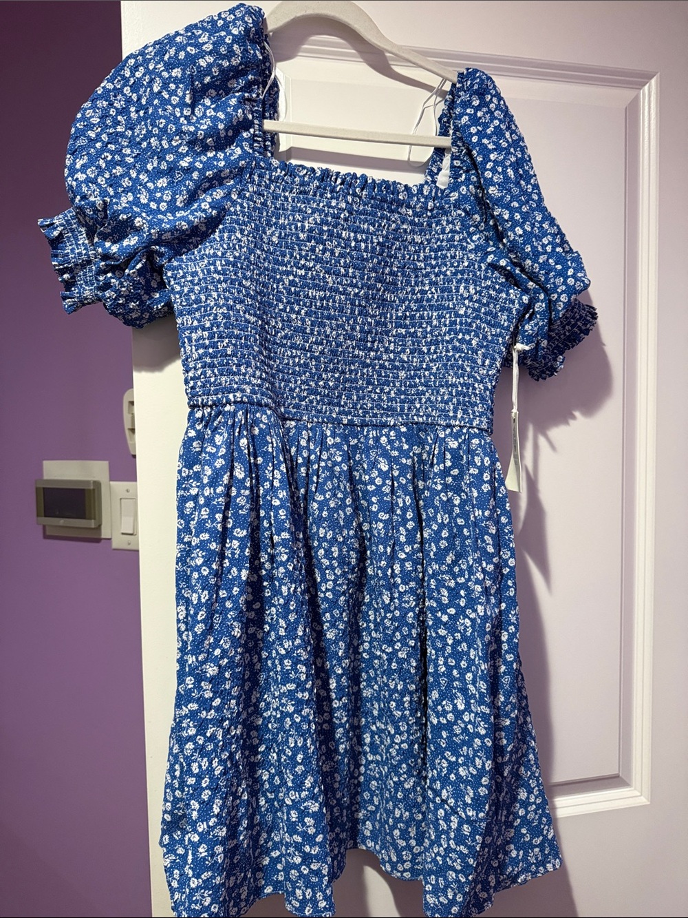 Hyacinth house blue floral dress